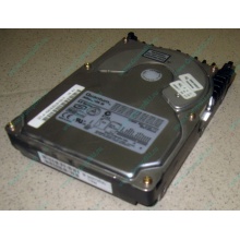 Жесткий диск 18.4Gb Quantum Atlas 10K III U160 SCSI (Красноярск)