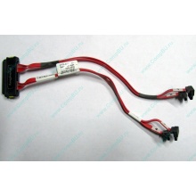 SATA-кабель для корзины HDD HP 451782-001 459190-001 для HP ML310 G5 (Красноярск)