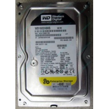 Жесткий диск 160Gb WD WD1602ABKS SATA (Красноярск)