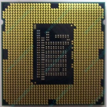 Процессор Intel Celeron G1620 (2x2.7GHz /L3 2048kb) SR10L s.1155 (Красноярск)