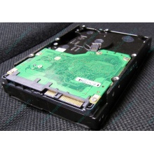 Жесткий диск 600Gb 15k Dell 9FN066-008 6G SAS ( Seagate Cheetach ST3600057SS 15K.7) - Красноярск
