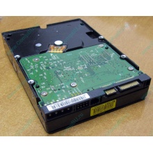 Б/У жёсткий диск 400Gb WD WD4000YR Caviar RE2 7200 rpm SATA  (Красноярск)