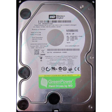 Б/У жёсткий диск 500Gb Western Digital WD5000AVVS (WD AV-GP 500 GB) 5400 rpm SATA (Красноярск)