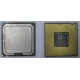 Процессор Intel Celeron D 336 (2.8GHz /256kb /533MHz) SL98W s.775 (Красноярск)