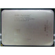 AMD Opteron 6128 OS6128WKT8EGO (Красноярск)