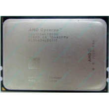AMD Opteron 6128 OS6128WKT8EGO (Красноярск)